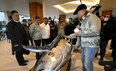 Un ton roșu de 276 kg s-a vândut cu peste 1,3 milioane de dolari la Tokyo