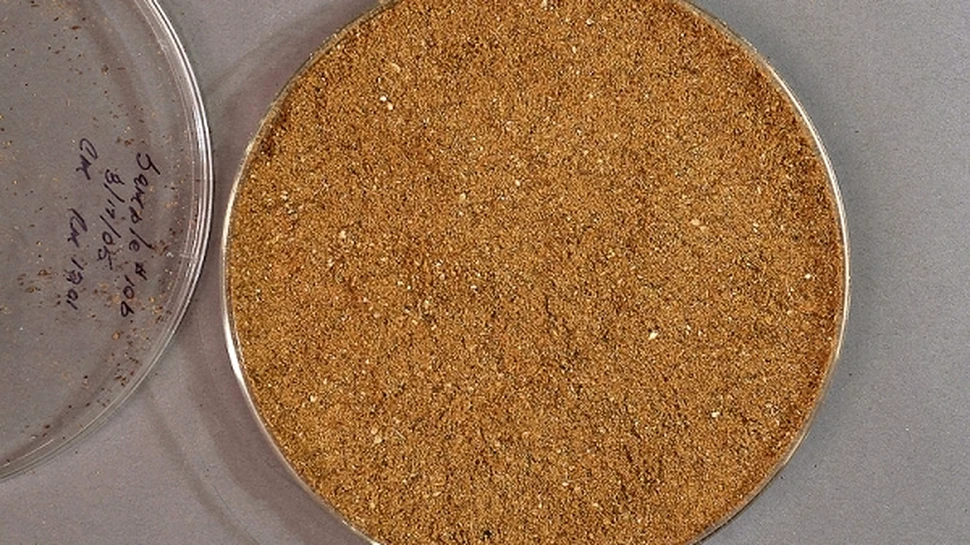 Plastic biodegradabil? Da, din oase şi carne de animale