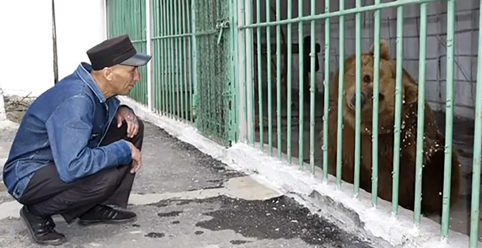 Caz unic în lume: de ce a ajuns o ursoaică la închisoare