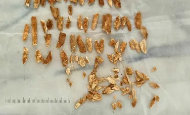Oamenii de știință au datat rămășițele unui copil antic care seamănă atât cu oamenii, cât și neanderthalienii
