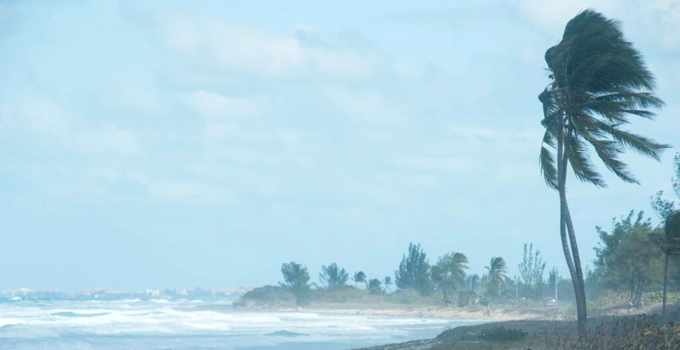 Cum apar uraganele și care sunt primele semne ale unui ciclon tropical?