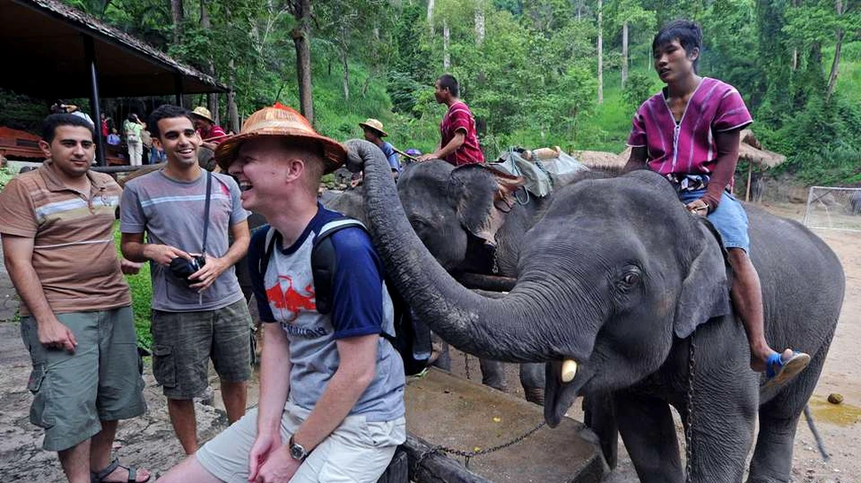 Răzbunarea unui elefant, exploatat zi de zi: şi-a ucis însoţitorul şi a fugit în junglă cu trei turişti chinezi
