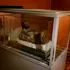 Muncitorii care lucrau la rețelele de gaz din Peru au descoperit o mumie veche de 1.000 de ani, așezată într-o poziție unică