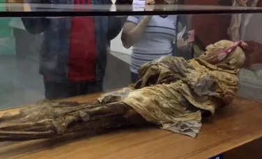 Savantul care a studiat rămăşiţele lui Hitler analizează acum o mumie din secolul al XVI-lea pentru a explica răspândirea unei boli grave