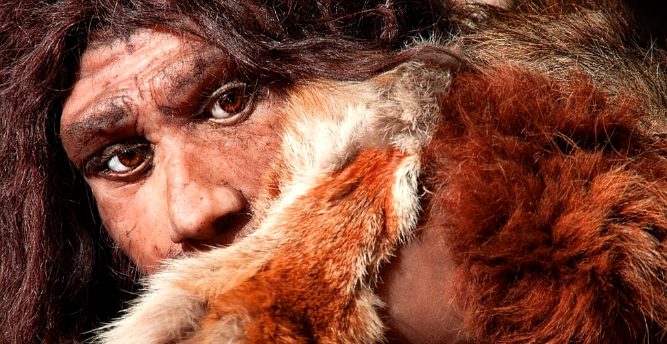 Oamenii de ştiinţă au descoperit virusuri ale omului de Neanderthal în ADN-ul nostru