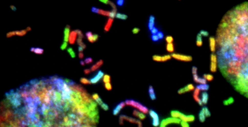 Oamenii de știință au reușit pentru prima oară secvențierea unui cromozom uman