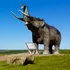Pădurile sud-americane „plâng” și acum după mastodonți