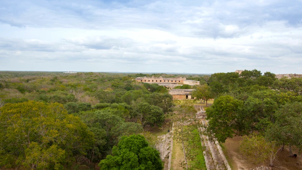Un oraș mayaș pierdut a fost redescoperit în jungla mexicană