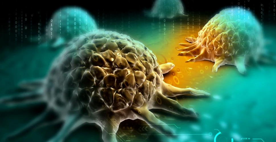 Microsoft doreşte să utilizeze inteligenţa artificială pentru a găsi un tratament împotriva cancerului. ”Este o mare provocare”