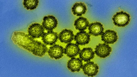 Autoritățile se așteaptă la gripă severă în acest an. „Odată ce vaccinul devine disponibil, utilizați-l”