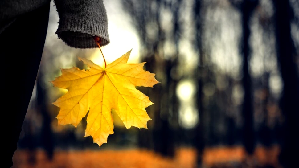 Boala care afectează milioane de oameni pe timpul iernii