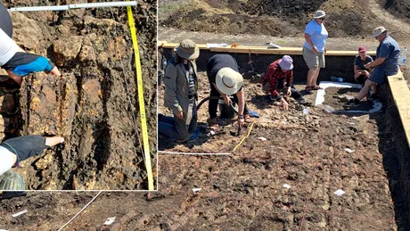 Descoperire impresionantă la un sit al culturii Cucuteni. Ce au găsit arheologii?