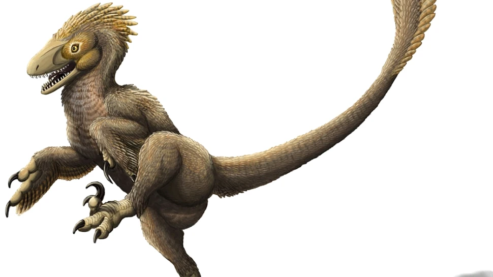 Balaurul Bondoc, vedeta unei expoziţii unice în România la Geoparcul Dinozaurilor din Ţara Haţegului