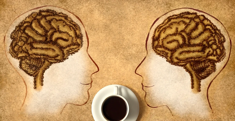 Cum funcţionează în realitate cofeina în corpul oamenilor