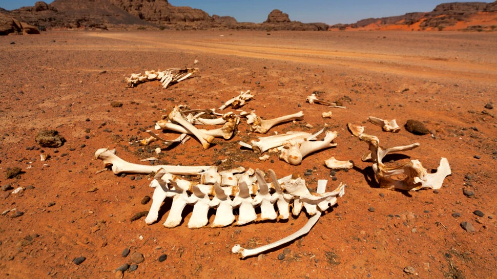 Un grup necunoscut de oameni a trăit în Sahara cu 7.000 de ani în urmă