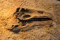 O nouă specie de dinozaur descoperită în Thailanda cântărea cât 9 elefanți asiatici