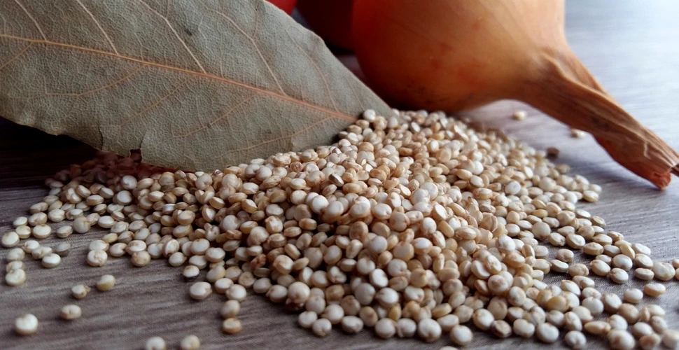 Quinoa şi chia benefice în curele de slăbire