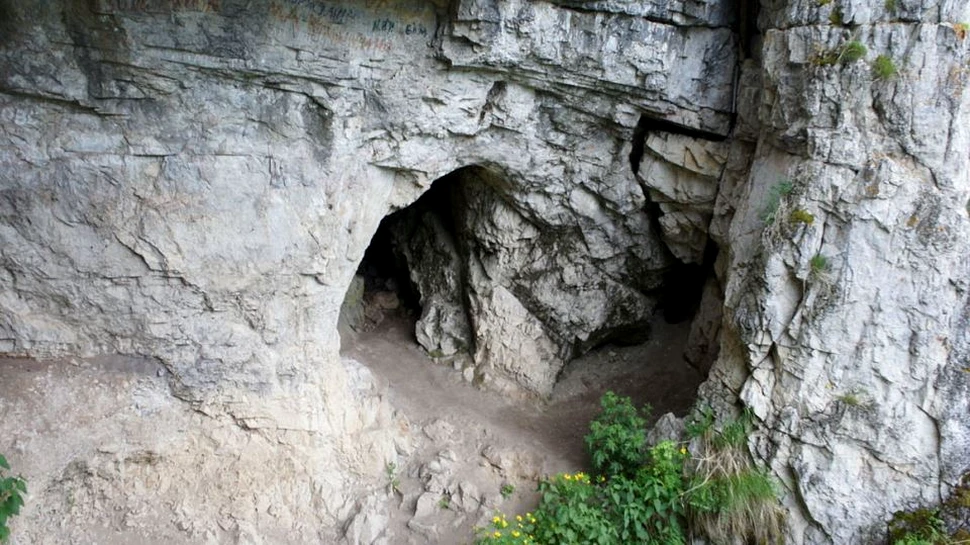 Un tip de brânză mirositoare a condus la o descoperire REMARCABILĂ într-o peşteră din Turkmenistan
