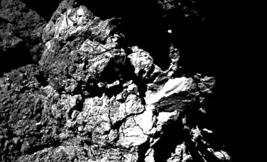 ”Cărămizi de bază ale vieţii”, decoperite pe suprafaţa unei comete