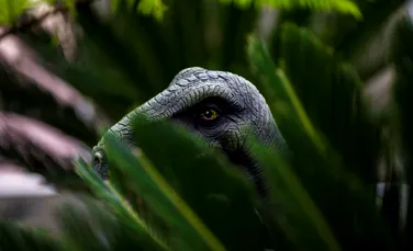 Un nou dinozaur cât o găină, descoperit pe „insula dinozaurilor” din Marea Britanie