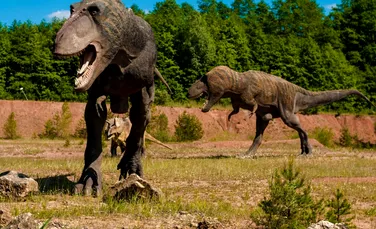 Dinozaurii apelau la canibalism atunci când hrana era insuficientă