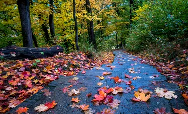 Meteorologii anunță vreme schimbătoare în România până la mijlocul lunii decembrie