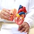 Un biolog explică de ce cancerul la inimă este atât de rar