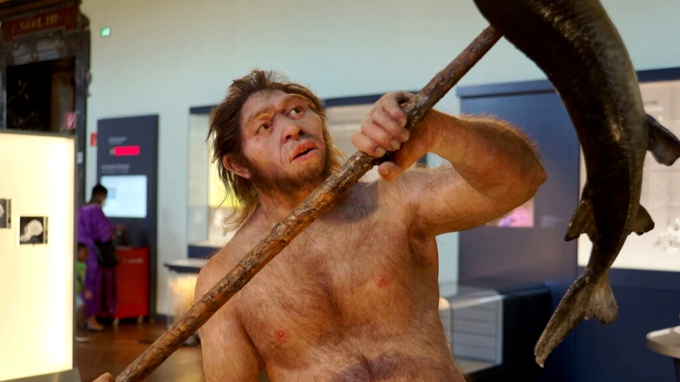 Putea Homo erectus să vorbească?