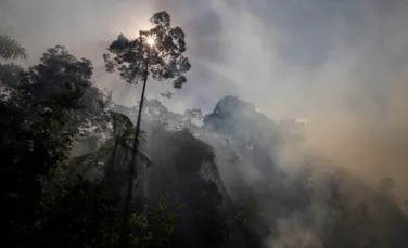 Incendiile din pădurea amazoniană devin tot mai puternice. Mii de focuri au cuprins Plămânul Verde al Planetei