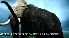 Mamutii – ultimii giganti ai planetei