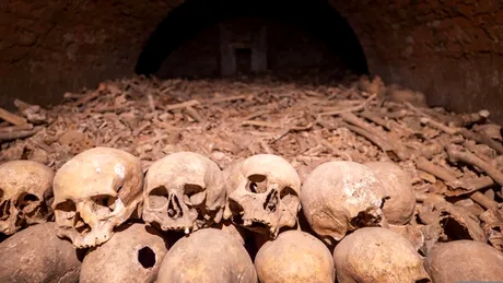 Oasele antice dezvăluie ritualuri terifiante după primele războaie ale Europei