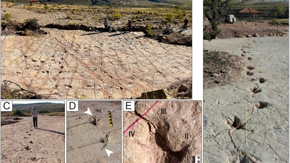 Cel mai mare sit de urme de dinozauri din lume a stabilit mai multe recorduri