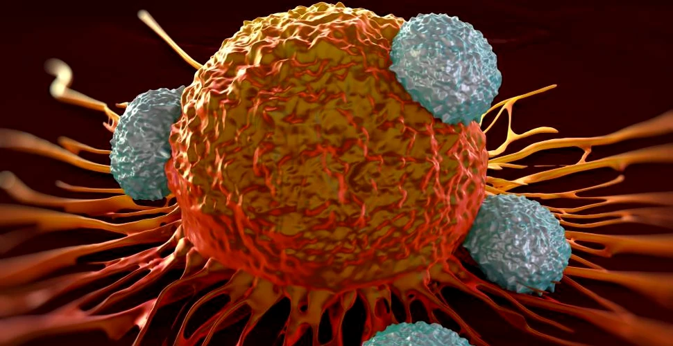 Un nou proces descoperit de biologi prin care se pot neutraliza tumorile poate duce la un remediu eficient împotriva cancerului