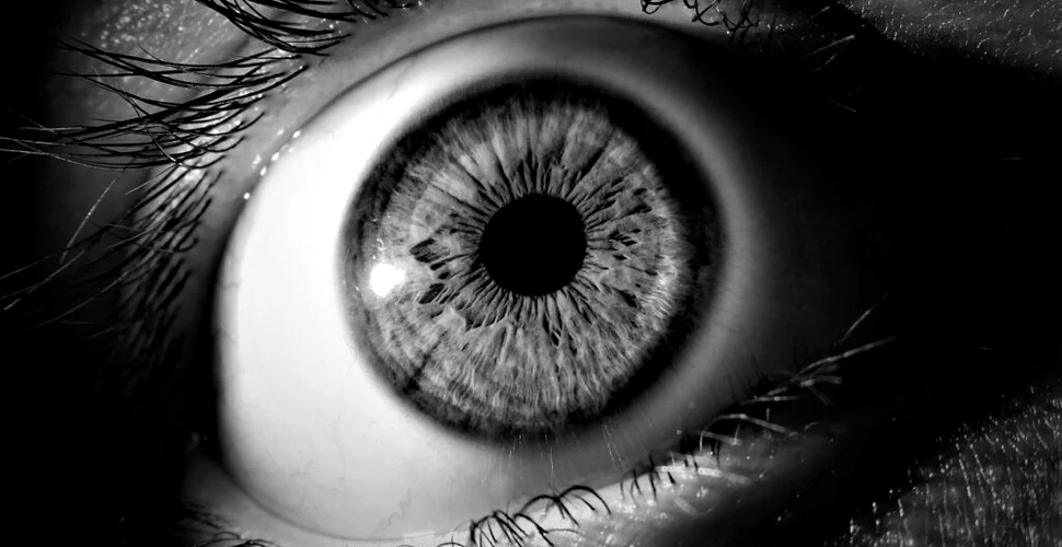 O nouă procedură pentru tratarea bolilor de ochi? Cercetătorii au dezvoltat un microac demn de filme de groază