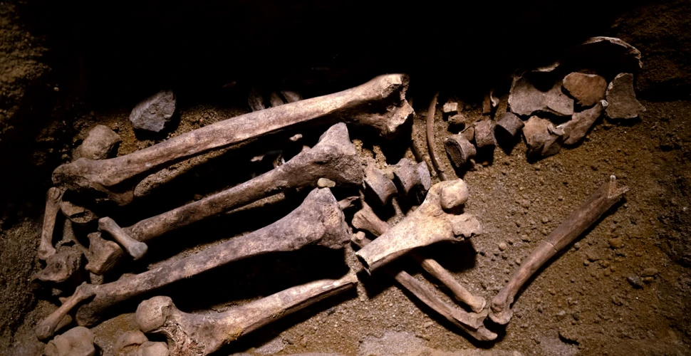 Arheologii au descoperit o groapă comună preistorică, plină cu schelete decapitate