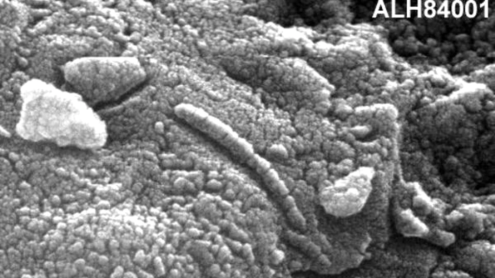 Oamenii pot fi adevaratii martieni
