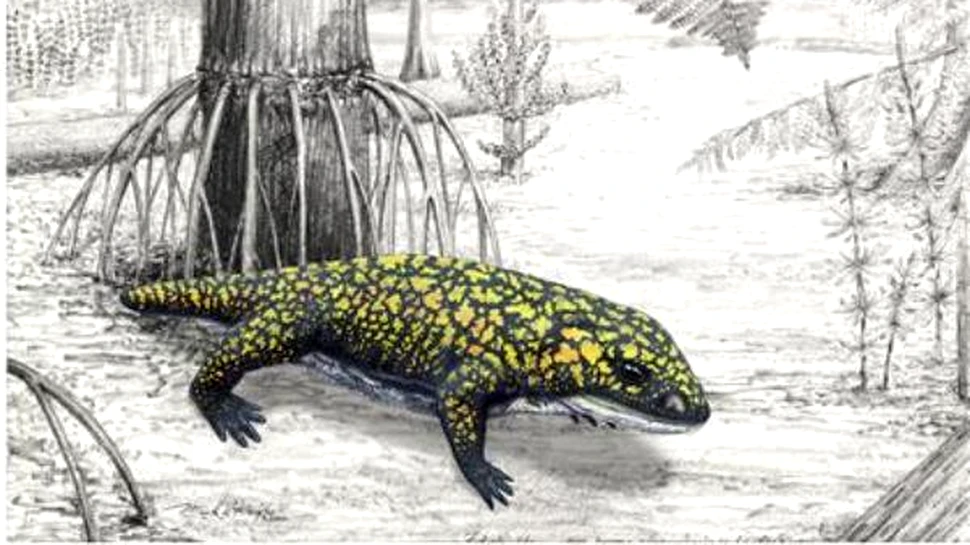 Misteriosul carnivor care a precedat dinozaurii