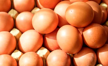 Test de cultură generală. Din ce este făcută coaja de ou?