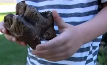Un băiat din Michigan a găsit un dinte care aparține unui mastodont