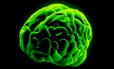 Cum se „curăţă” creierul? (VIDEO)