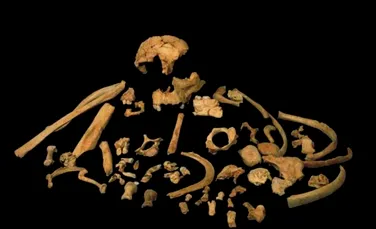 A fost descoperită cea mai veche fosilă umană din vestul Europei. Are aproximativ 1 milion de ani vechime