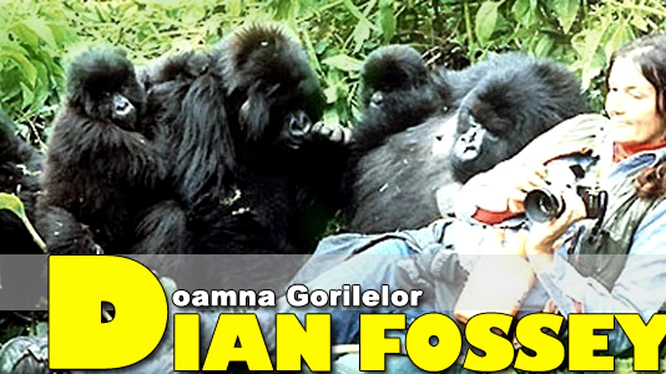 Dian Fossey, doamna gorilelor