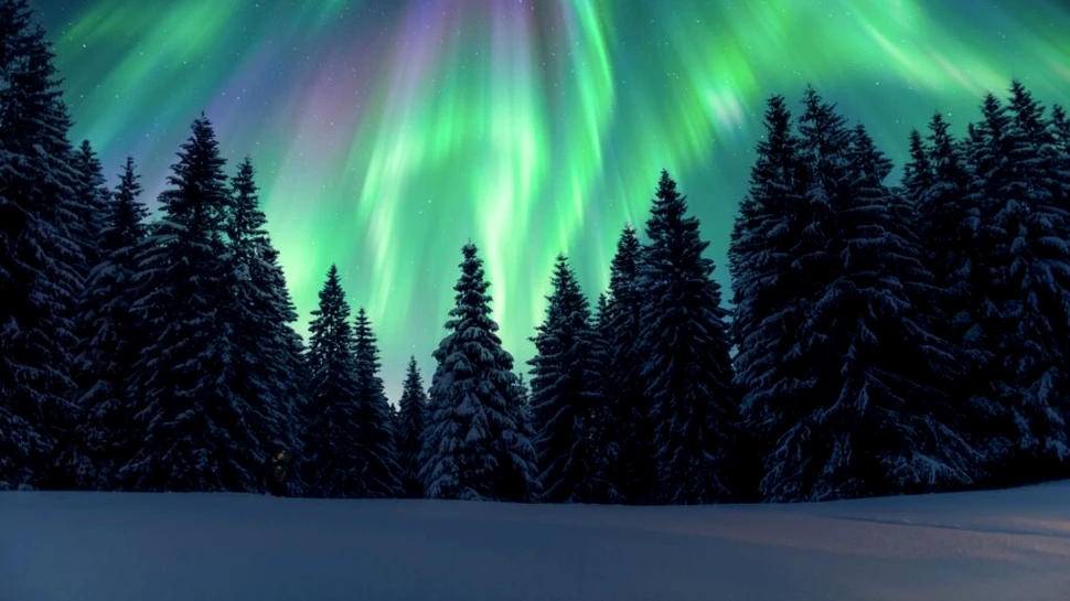 Test de cultură generală. Care este diferența dintre aurora boreală și aurora australă?