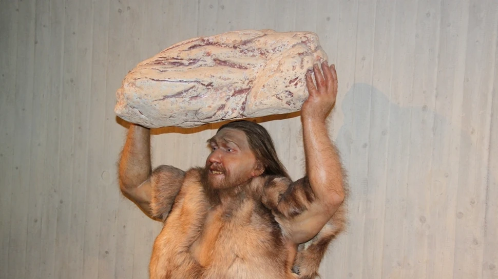 Ai probleme cu grăsimea? E vina Neanderthalului din tine