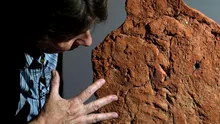 Amprentă veche de 4.000 de ani, descoperită pe o ofrandă funerară din Egiptul Antic