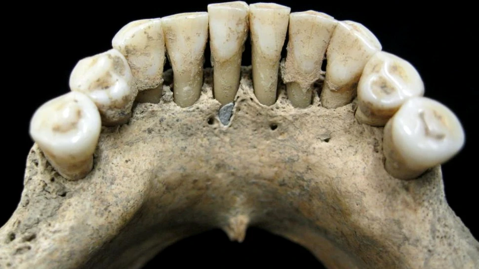 Descoperirea unui pigment rar pe dantura unui schelet infirmă o convingere străveche privind rolul femeilor în biserici