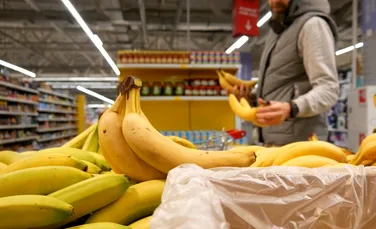 Cum a reușit România să exporte banane în valoare de 3,4 milioane de euro?