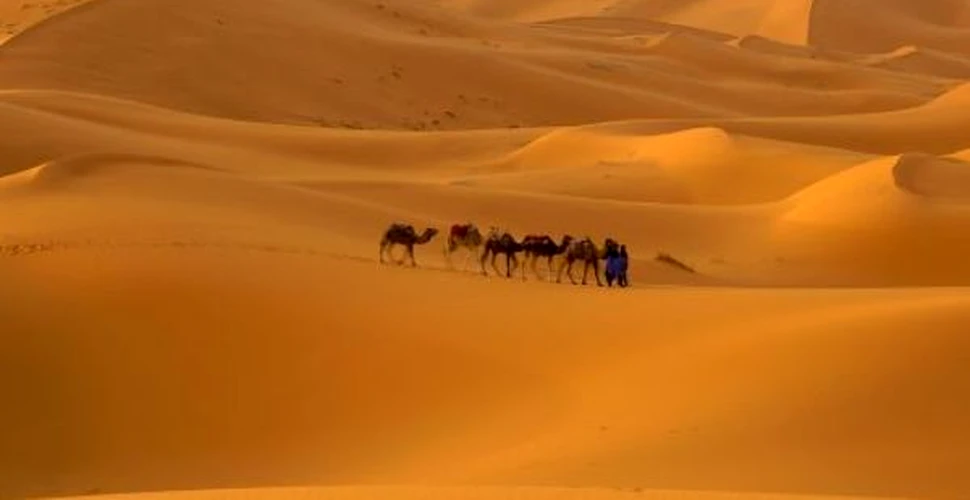 Sahara, “cheia” primelor migratii umane