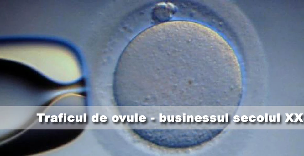 Traficul de ovule – businessul secolului XXI