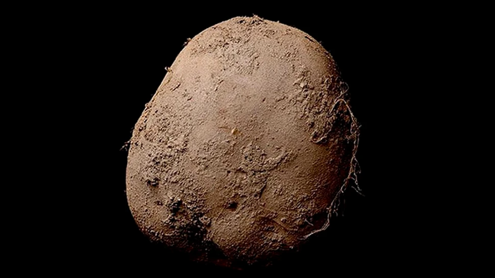 Cum arată ”cartoful” de 1 milion de euro